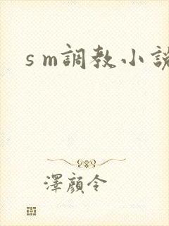 s m调教小说