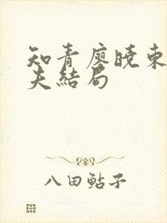 知青廖晓东的丈夫结局封面