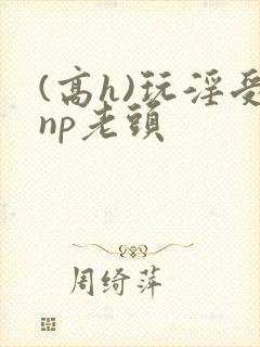 (高h)玩淫受np老头