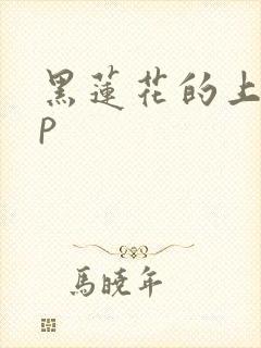 黑莲花的上位np