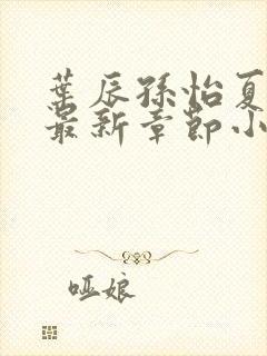 叶辰孙怡夏若雪最新章节小说