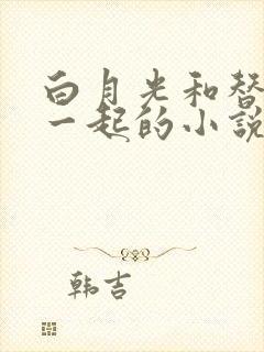 白月光和替身在一起的小说双男主