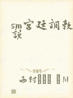 sm宫廷调教小说