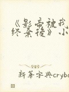 《影帝被我始乱终弃后》小说封面