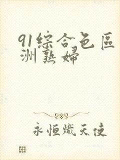 91综合色区亚洲熟妇封面