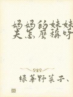 妈妈的妹妹的丈夫怎么称呼封面