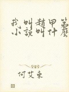 我叫赵甲第原著小说叫什么名字封面