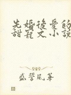 先婚后爱的古言甜宠文小说