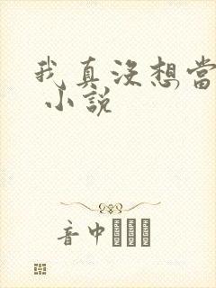 我真没想当皇上 小说