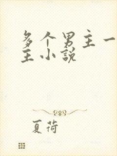 多个男主一个女主小说