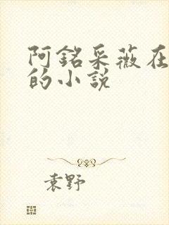 阿铭采薇在人间的小说