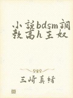 小说bdsm调教高h主奴封面