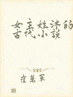 女主姓沐的重生古代小说封面