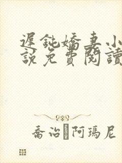 迟钝娇妻小唯小说免费阅读最新章节列表