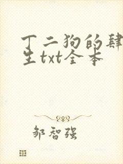 丁二狗的肆意人生txt全本封面