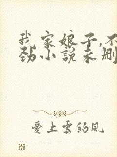 我家娘子,不对劲小说未删版完整封面