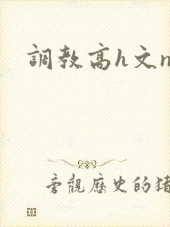 调教高h文np