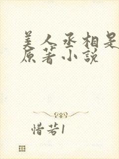 美人丞相是病娇原著小说