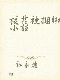 校花被捆绑调教小说