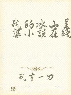 我的冰山美女老婆小说在线阅读