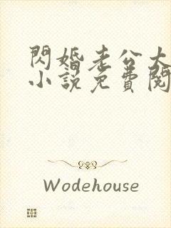 闪婚老公太给力小说免费阅读全文