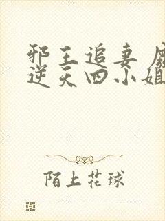 邪王追妻 废材逆天四小姐