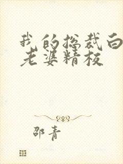 我的总裁白富美老婆精校