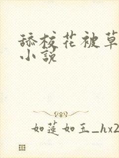 舔校花被草到爽小说封面