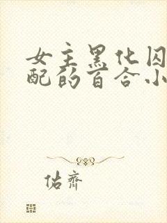 女主黑化囚禁女配的百合小说封面