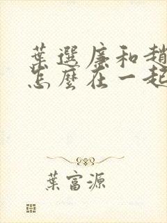 叶选廉和赵姨娘怎么在一起的?封面