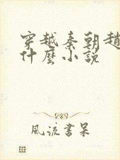 穿越秦朝赵浪是什么小说封面