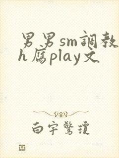 男男sm调教高h腐play文