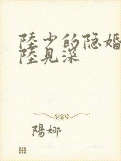 陆少的隐婚罪妻陆见深