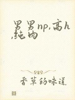 男男np,高h,纯肉