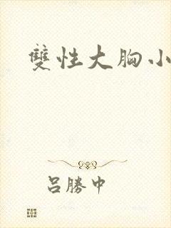 双性大胸小说封面