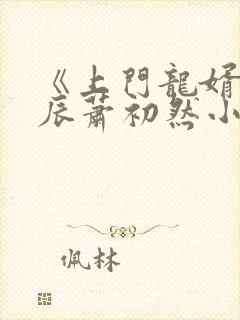 《上门龙婿》叶辰萧初然小说