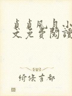 贞贞风月小说全文免费阅读最新章节更新