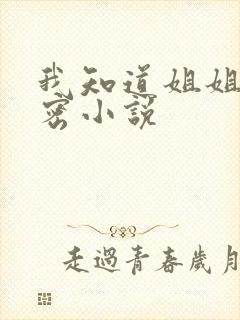 我知道姐姐的秘密小说封面