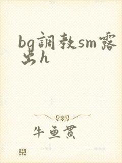 bg调教sm露出h封面