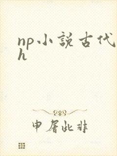 np小说古代高h