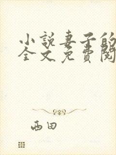 小说妻子的秘密全文免费阅读全文封面