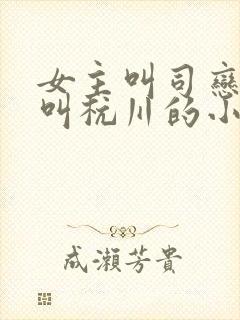 女主叫司恋男主叫杭川的小说名字