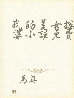 我的美女总裁老婆小说免费阅读全文