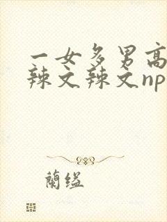 一女多男高h文辣文辣文np封面