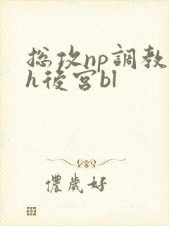 总攻np调教高h后宫bl