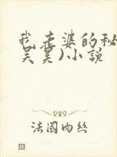 我老婆的秘密(吴昊)小说