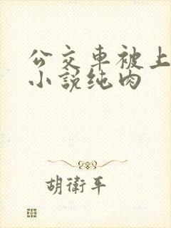 公交车被上高潮小说纯肉