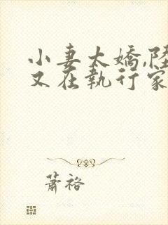 小妻太娇,陆爷又在执行家法的小说封面