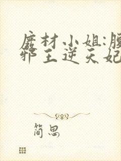 废材小姐:腹黑邪王逆天妃 叶轻轻