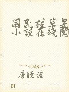 国民校草是女生小说在线阅读